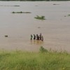 LAKOTA NA MADAGASKARJU foto: Stane Kerin