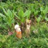 KLIC V SILI – MADAGASKAR WhatsApp-Image-2022-09-20-at-12.21.12