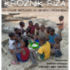 riz_Mozambik